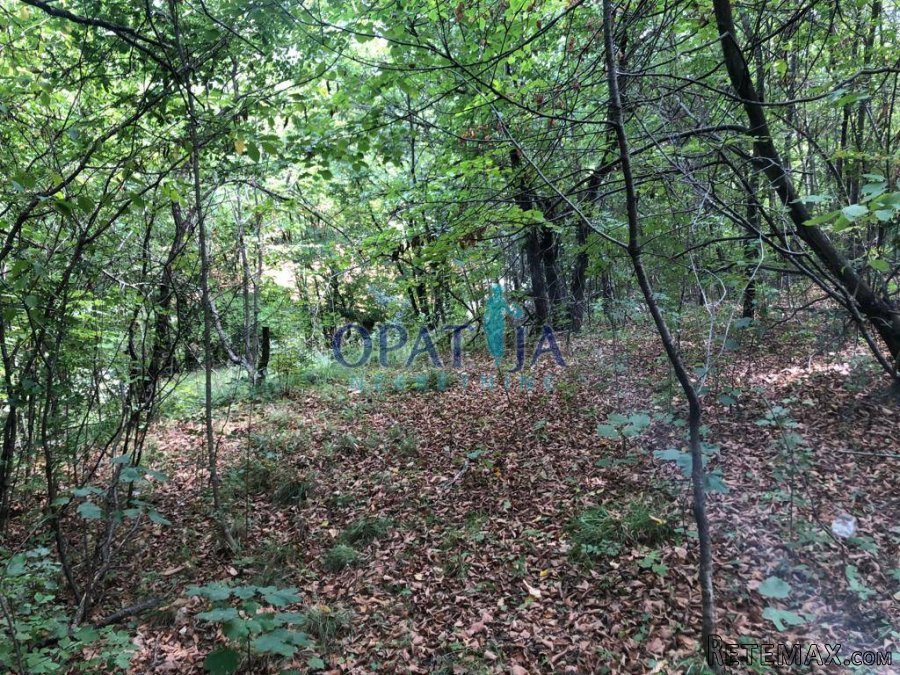 Zvoneća, izniman građevinski teren od 4633 m2