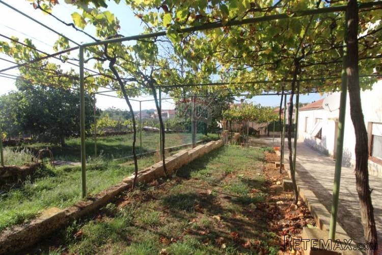 ISTRA,VINKURAN - kuća 150m2 s velikom okućnicom - 4