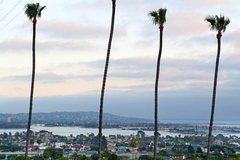 1550 Monmouth Drive La Jolla.. - 2
