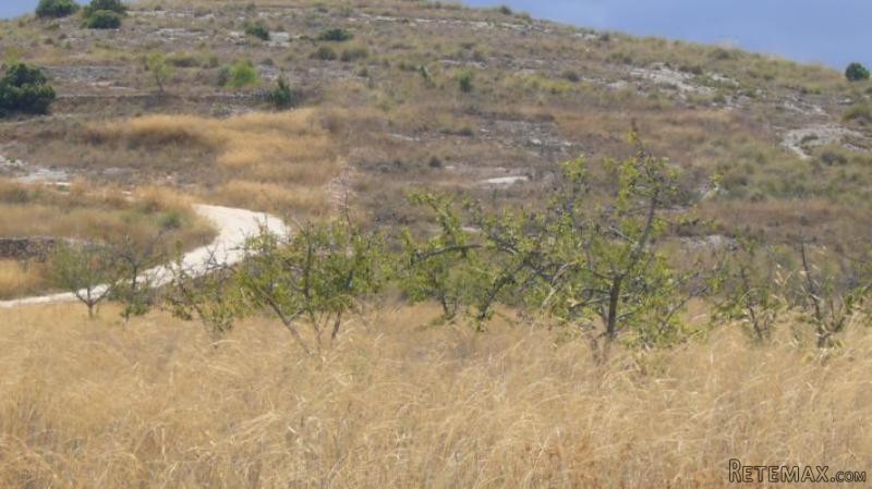 0 bedroom Land in Canada del Trigo..