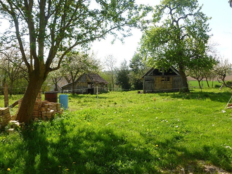 Glorious Country House, Great Location - 2