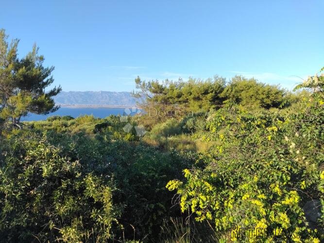 POLJOPRIVREDNO ZEMLJIŠTE 1360 m² – OTOK VIR (650 METARA OD M - 2