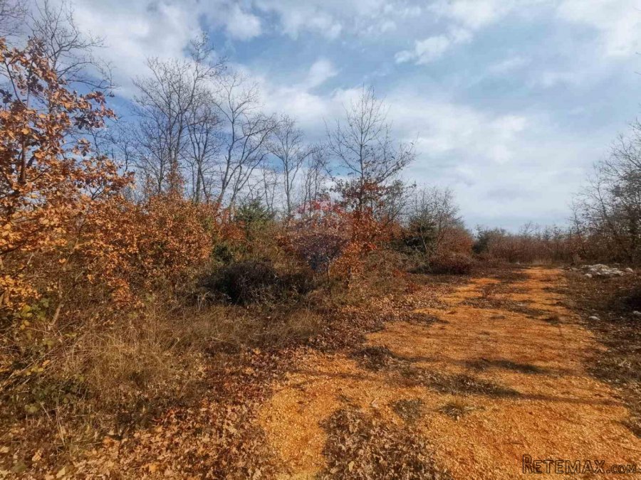 Marčana, negrađevinsko vikend zemljište 436m2 - 3