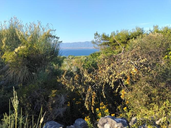 POLJOPRIVREDNO ZEMLJIŠTE 1360 m² – OTOK VIR (650 METARA OD M - 3