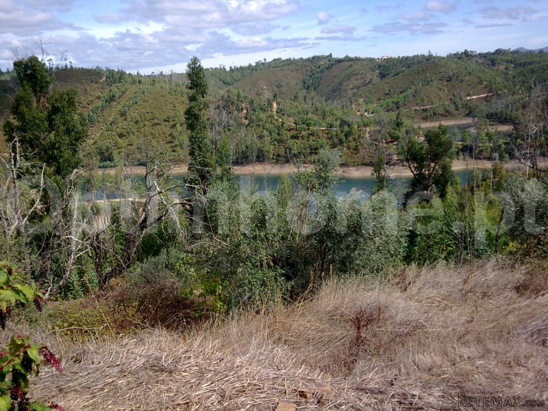 Farm For Sale - Santarem