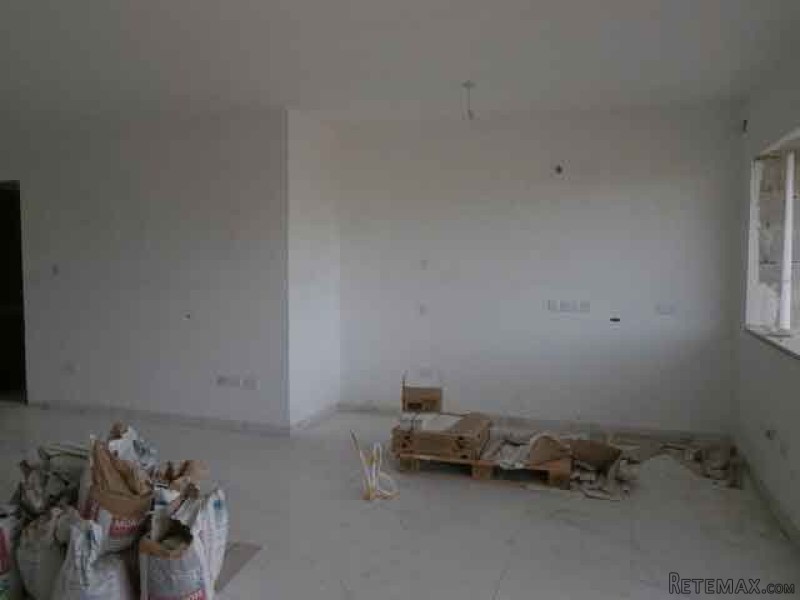 Flat, Shell With Works - 2