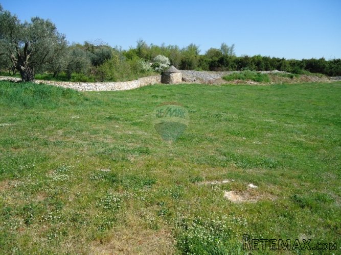 VODNJAN, SAN ANTONIO, IDEALNO IMANJE ZA TURIZAM - 2