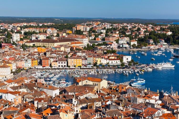 Rovinj,šuma 16 800m2 uz glavnu prometnicu - 2
