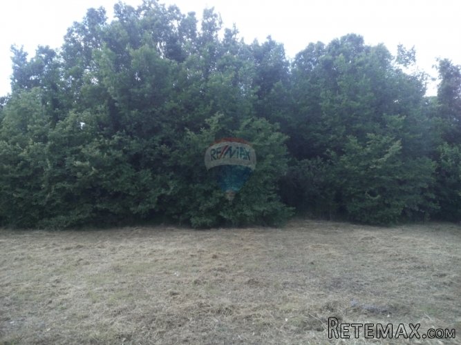 ISTRA, PINEZIĆI GRAĐEVINSKO ZEMLJIŠTE - 2