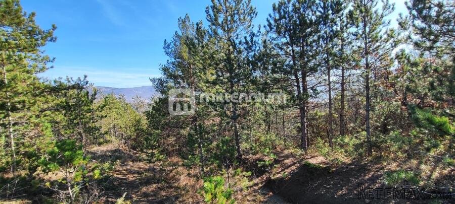 Istra, okolica Pazina, zemljište, 214.230m2