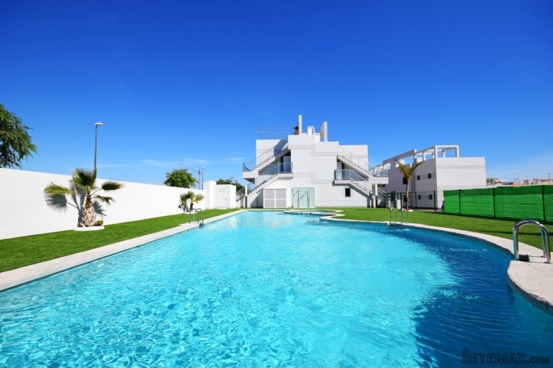 Mil Palmeras |Torrevieja