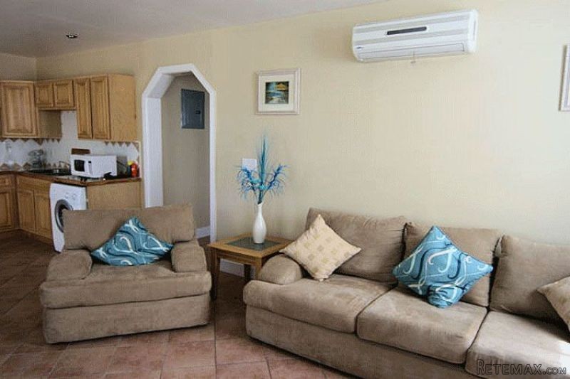Palm Tree Apartment $215,000 - 2