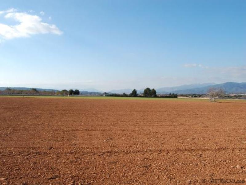 Plot With Licence And Excellent Access.. - 2