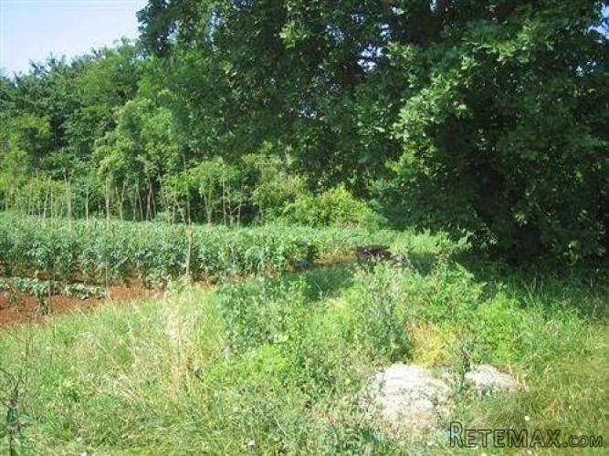 Istra, Umag- Građevinsko zemljište 400m od mora - 4