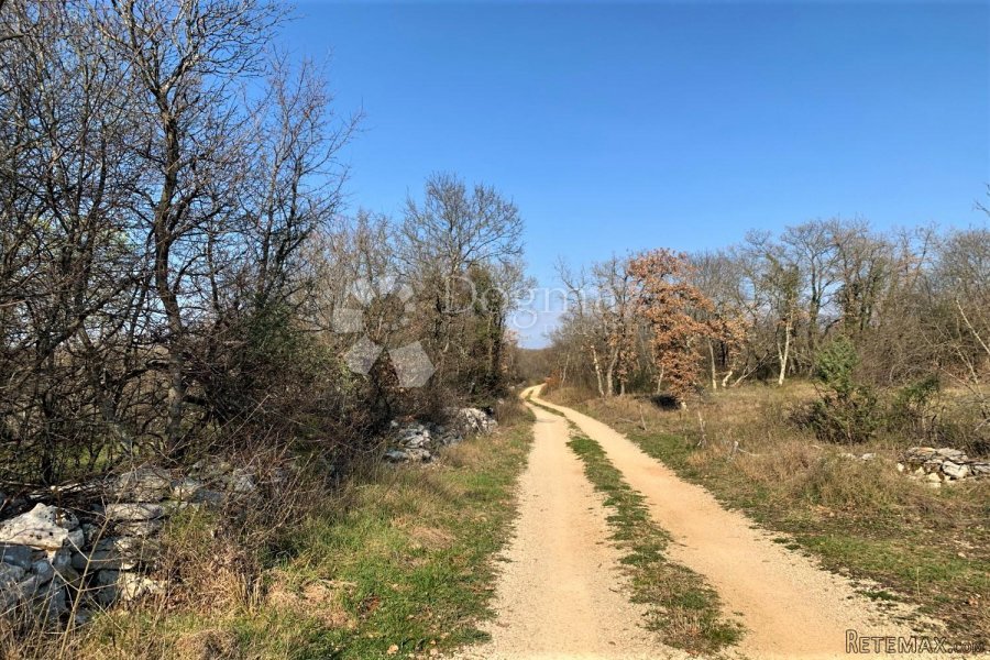 BALE – okolica, velika pacela, voda i struja u blizini - 5