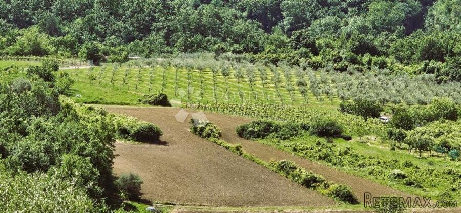 Draguć, veliko poljoprivredno zemljište, 11.030 m2