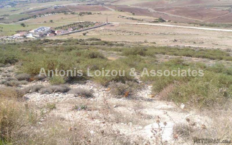 Agricultural Field For Sale in Anarita..