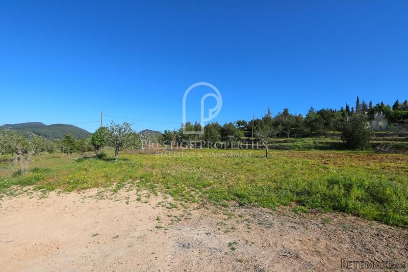 Four independent plots of land for sale.. - 2