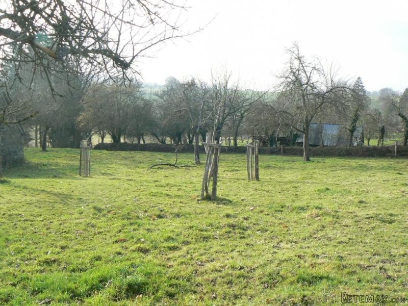 Countryside Detached House to Refresh - 2