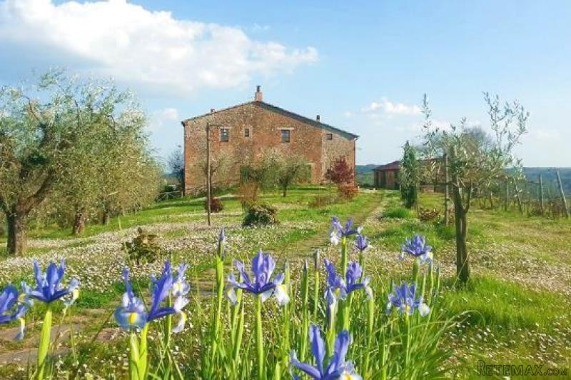 House - Umbria - For Sale - 2