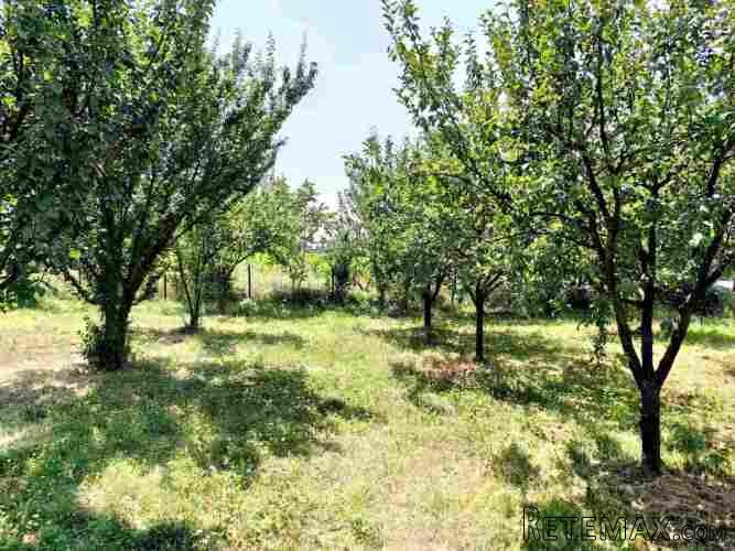 Plac od 19ari ispod Avale sa 2 nedovrsena objekta - 11