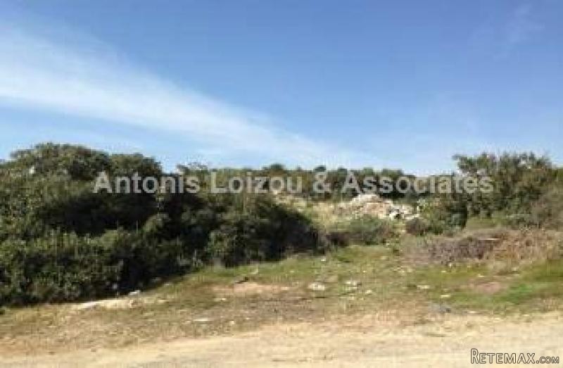 Agricultural Field in Agia Fylaxis..
