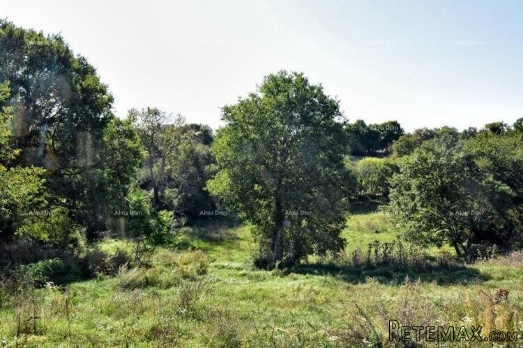 Građevinsko zemljište u Štokovcima, Svetvinčenat – Idealna p.. - 3