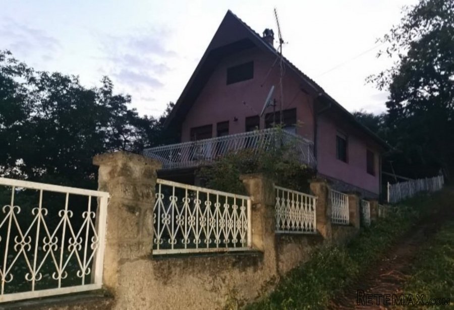 Kuca Ljig-Brancic - 13
