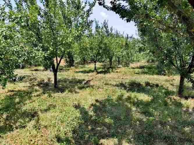 Plac od 19ari ispod Avale sa 2 nedovrsena objekta - 13