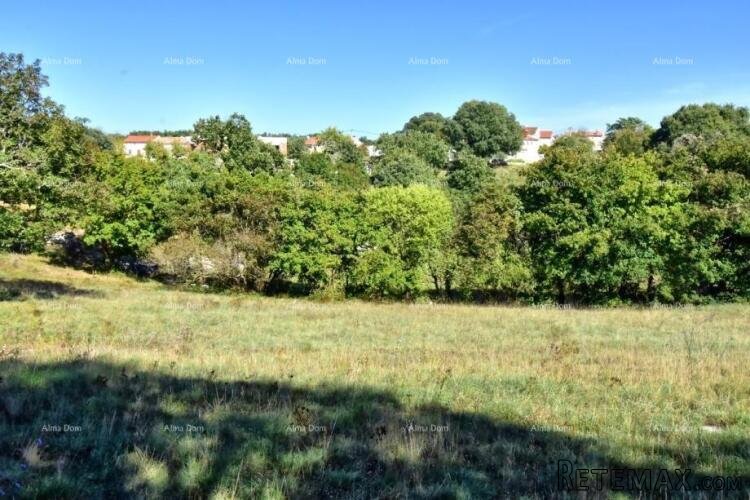 Građevinsko zemljište u Štokovcima, Svetvinčenat – Idealna p.. - 5