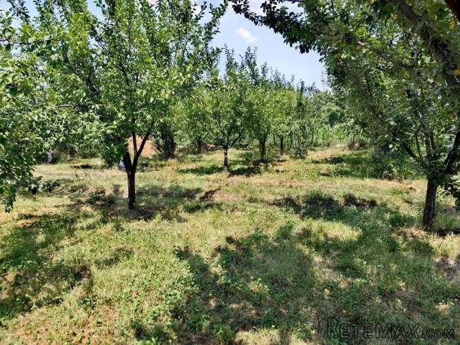 Plac od 19ari ispod Avale sa 2 nedovrsena objekta - 20