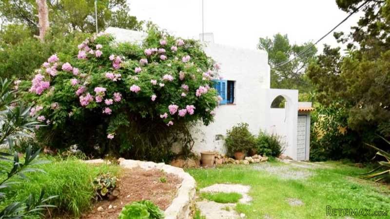 Cute independent house