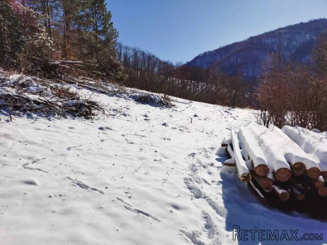 Gradjevinsko zemljiste u selu Crni Vrh na Babinom Zubu - 6