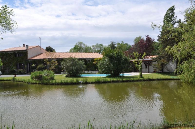 House With Heated Swimming Pool And Pond