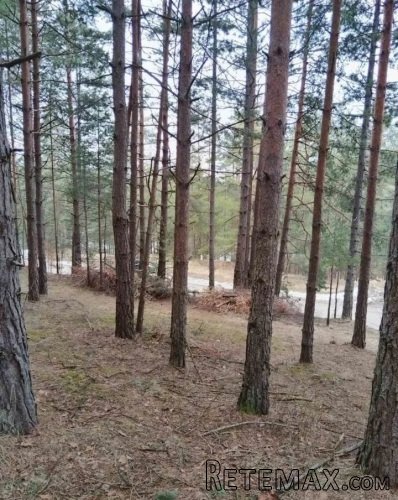 Plac na prodaju Zlatibor-Vodice - 2