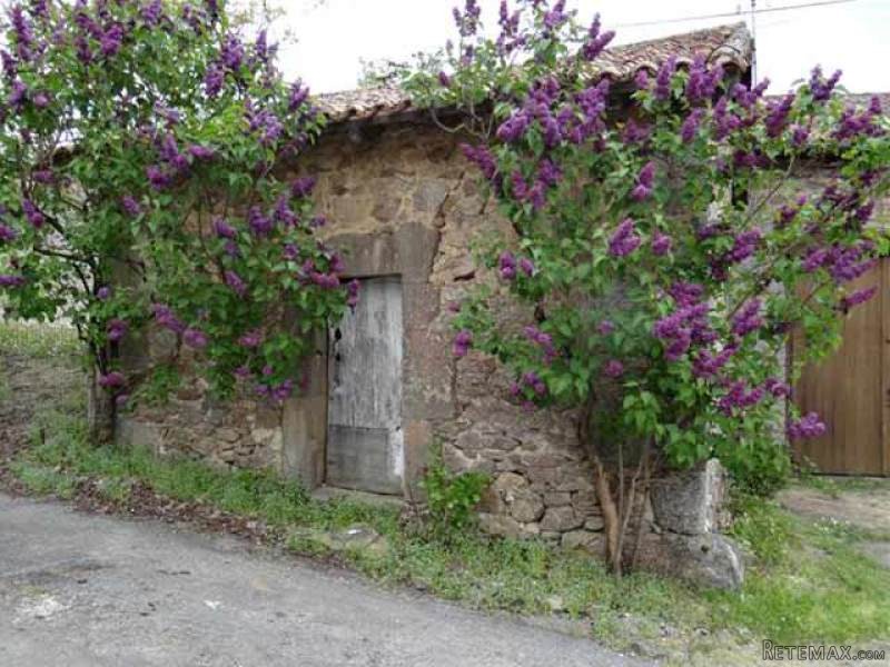 Stone Cottage With Outbuildings In A.. - 2