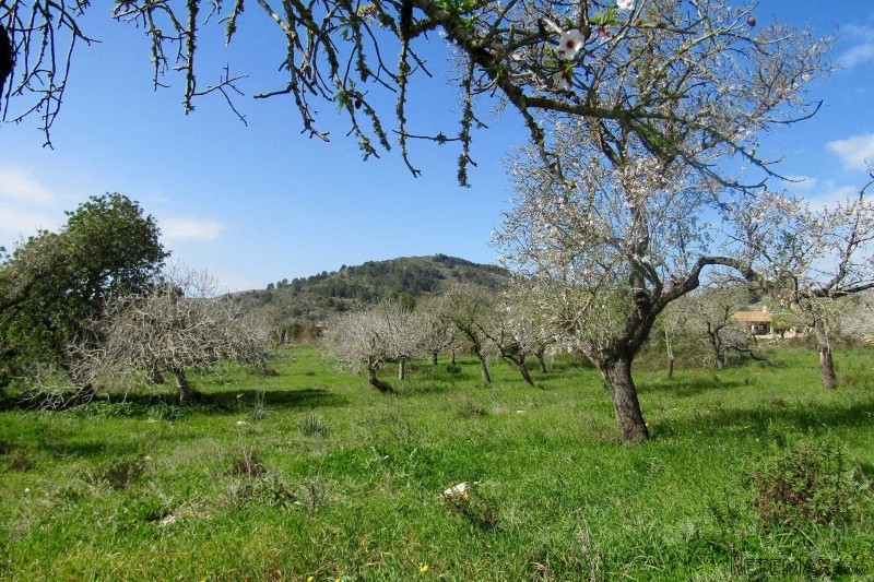Very nice and quite plot with view to..