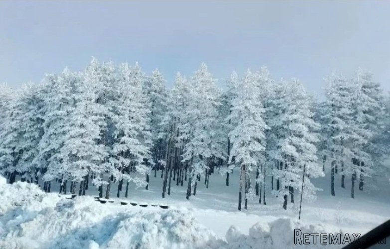 Plac na prodaju Zlatibor-Vodice - 4