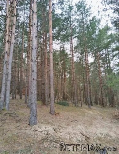 Plac na prodaju Zlatibor-Vodice - 5