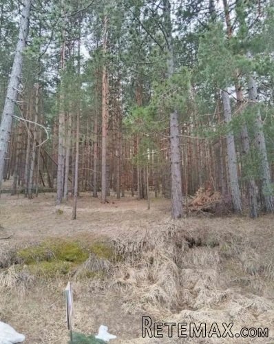 Plac na prodaju Zlatibor-Vodice - 7