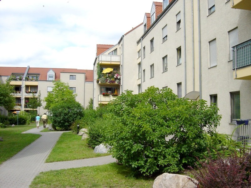 Large and Bright 1 Bedroom Apartment in.. - 2