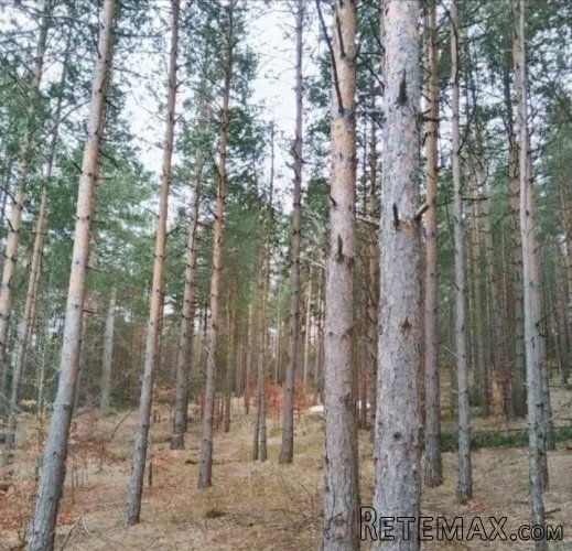 Plac na prodaju Zlatibor-Vodice - 8