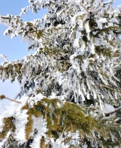 Plac na prodaju Zlatibor-Vodice - 9