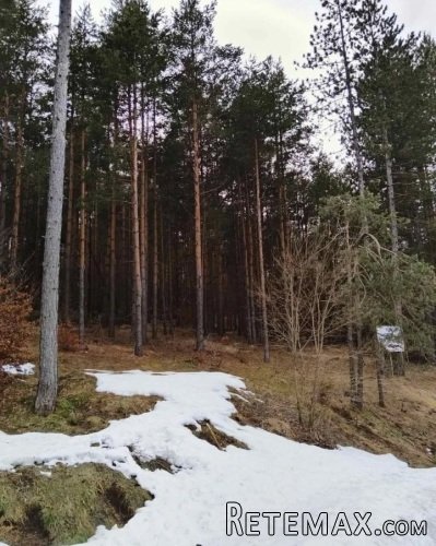 Plac na prodaju Zlatibor-Vodice - 10