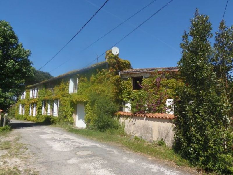 Ivy Covered Detached Country House - 2