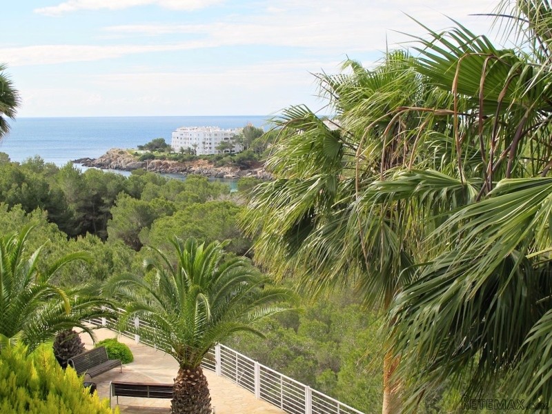 Property - Ibiza - For Sale