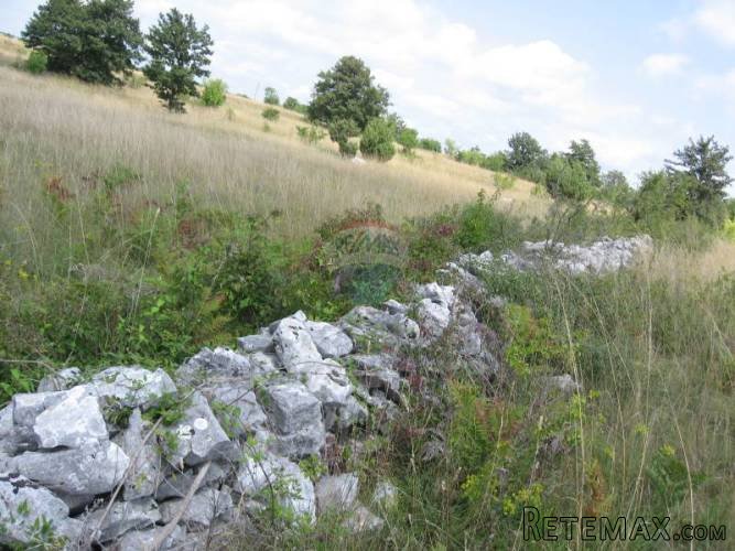 ISTRA, BARBAN, PETEHI, poljoprivredno zemljište 1km od sela - 2