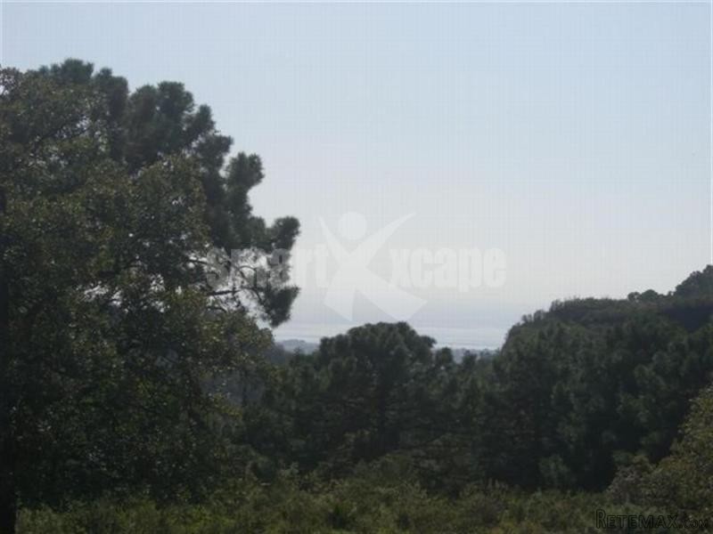 Plot/land For Sale In La Zagaleta..