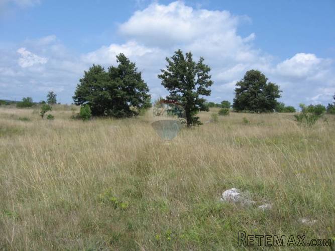 ISTRA, BARBAN, PETEHI, poljoprivredno zemljište 1km od sela - 3