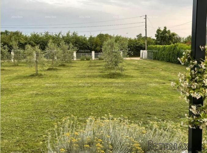 KOMPLEKS: KUĆA + GRAĐEVINSKA ZEMLJIŠTA + MASLINIK - 3